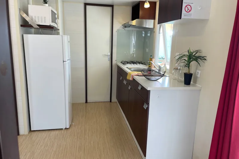 Cottage Camélia Standard / D