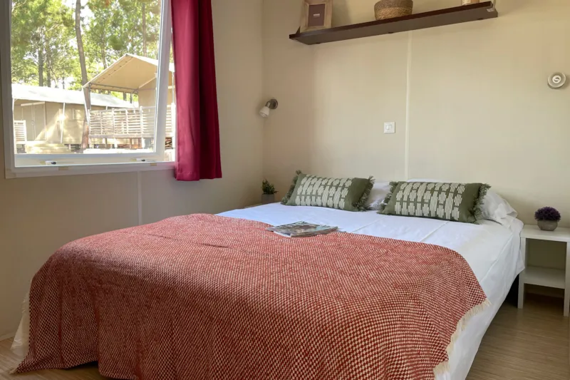 Cottage Camélia Standard / D