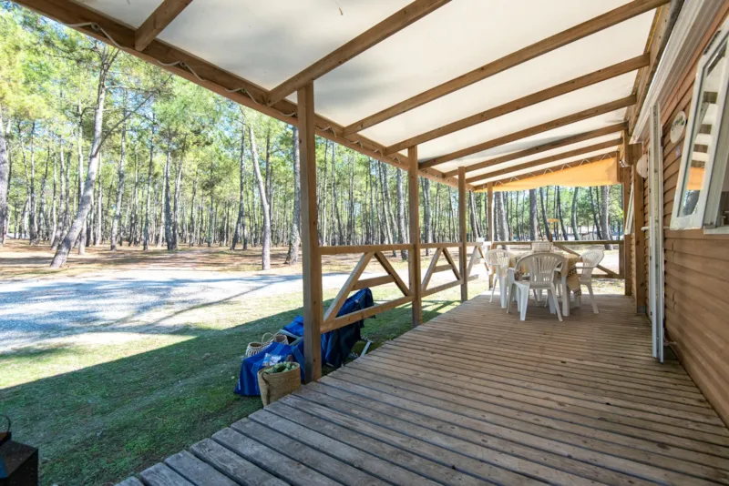 Cottage Camélia Standard / D