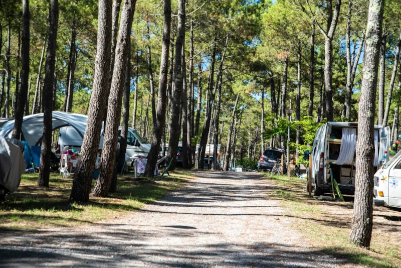 Emplacement Grand Confort Avec Électricité / D