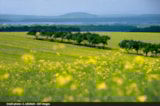 Foto #68 van Au Clos de la Chaume Sites et Paysages