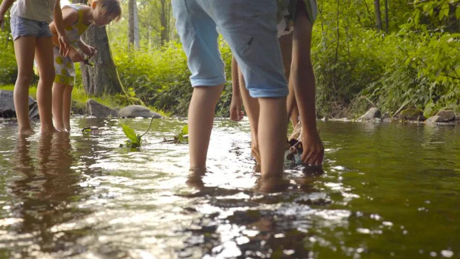 Au Clos de la Chaume Sites et Paysages