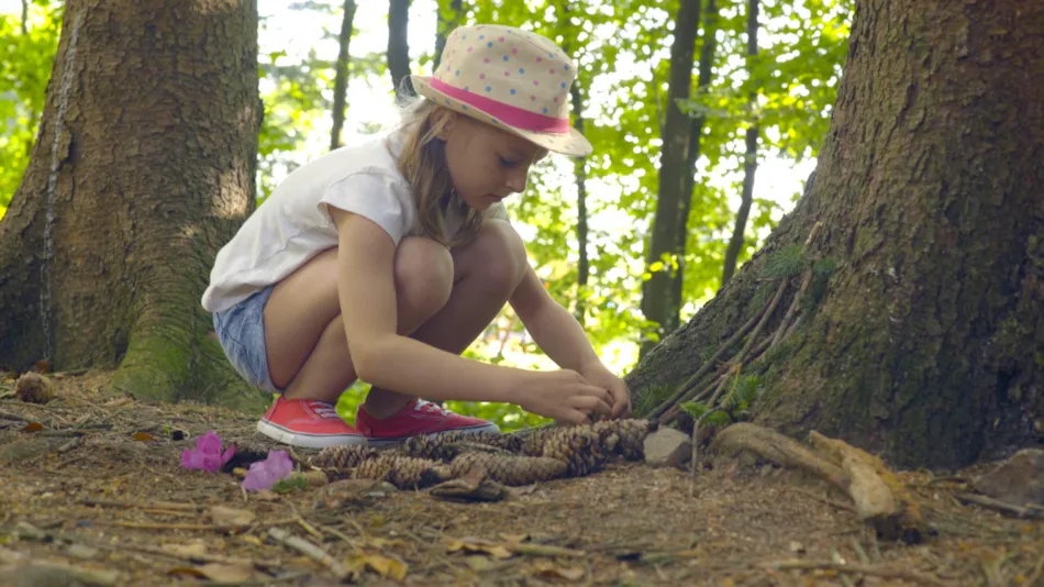 Au Clos de la Chaume Sites et Paysages