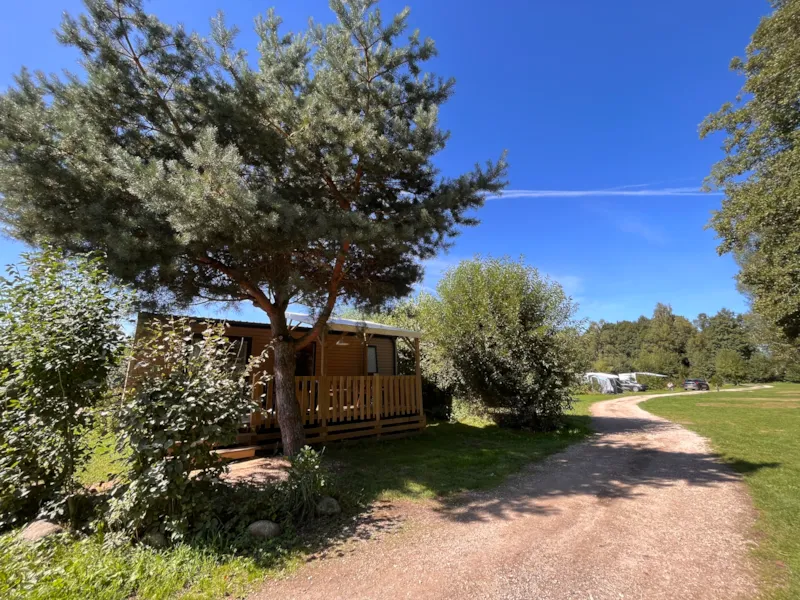 Bungalow Chêne 28 M² Avec Terrasse Bois Semi-Couverte