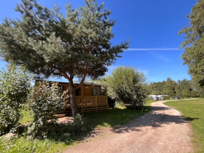 Bungalow Chêne 28 m² with semi-covered wooden terrace — 6