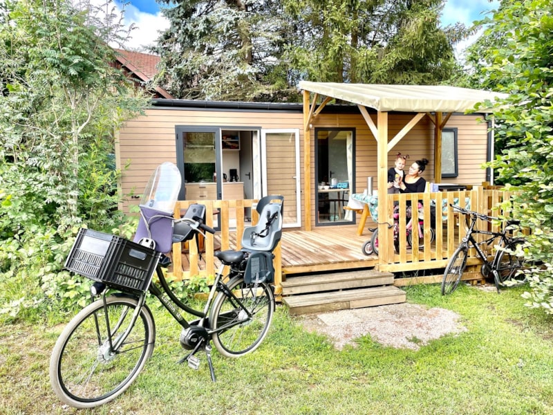 Bungalow Chêne 28 m² with semi-covered wooden terrace