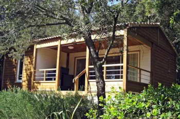 Mietunterkunft - Bungalow Lodge 5 - Camping Pertamina Village U Farniente