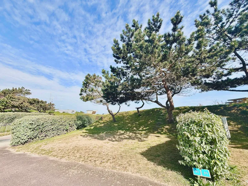 Forfait Confort : Emplacement + 2 Pers + Électricité