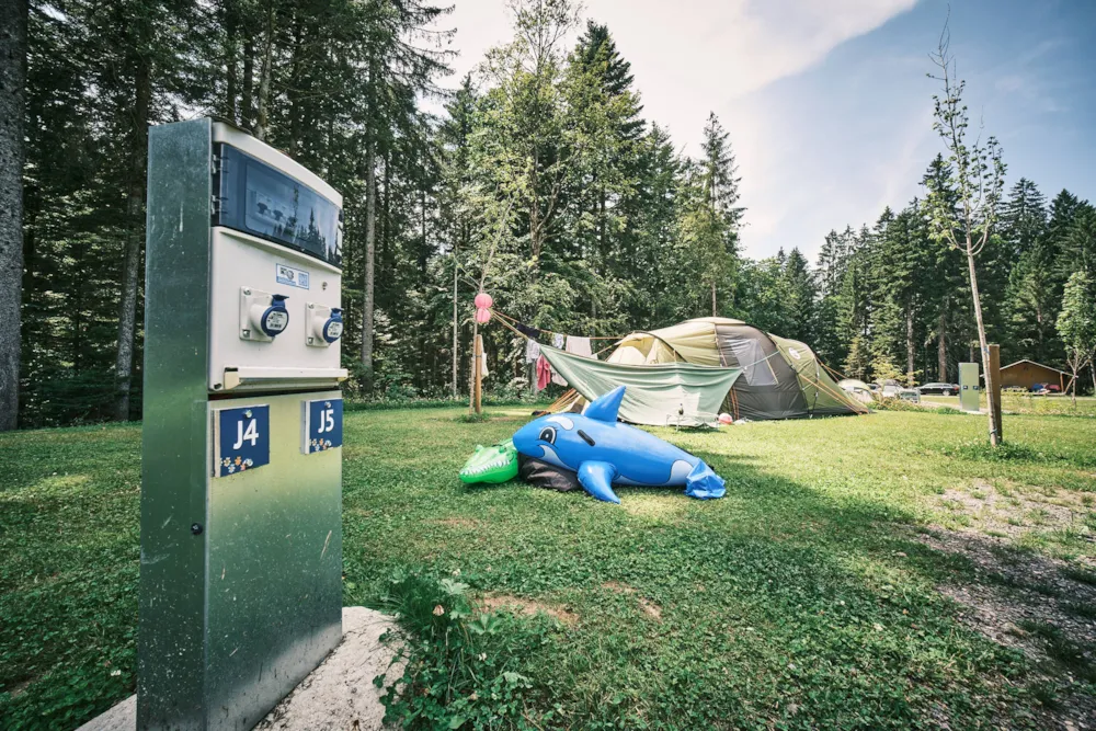 Flower Camping LA STENIOLE - image n°8 - Camping Direct