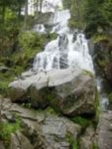 Foto #24 van Flower Camping LA STENIOLE