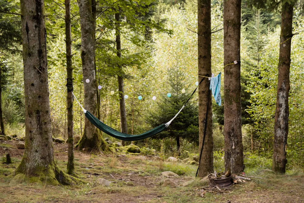 Flower Camping LA STENIOLE