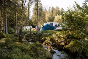 Flower Camping LA STENIOLE - MyCamping