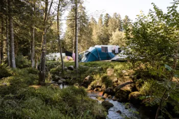 Flower Camping LA STENIOLE - MyCamping