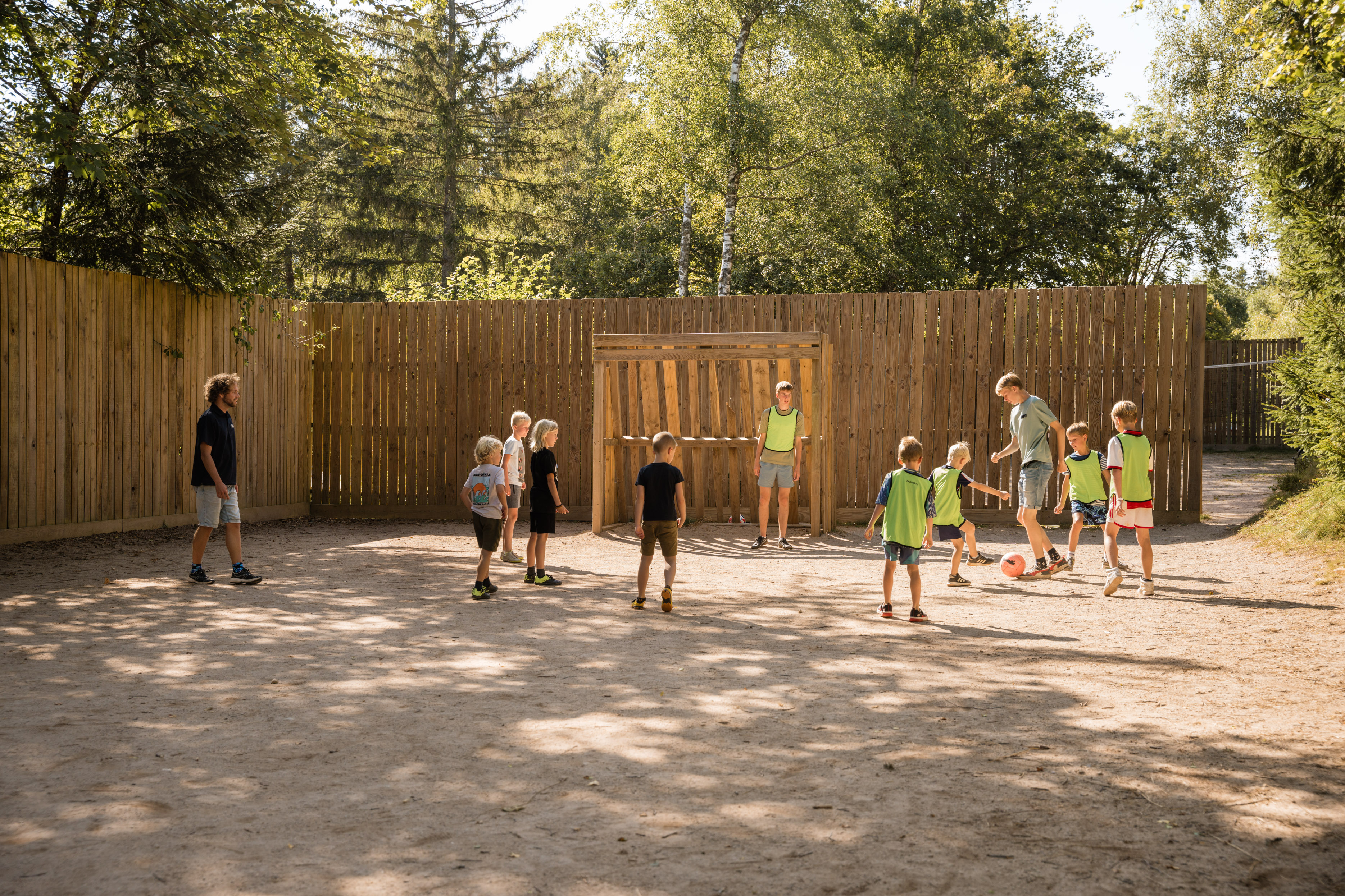 Image 43 sur 53