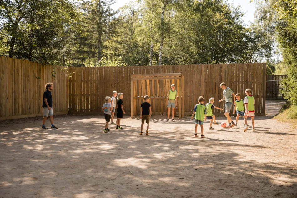 Flower Camping LA STENIOLE