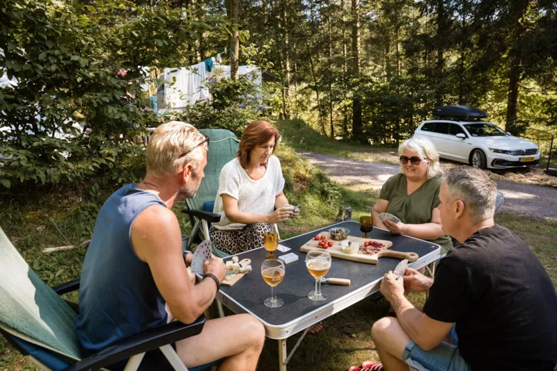 Forfait Confort (1 Tente, Caravane Ou Camping-Car / 1 Voiture / Électricité 10A)