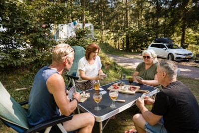 Comfort Package (1 tent, caravan or motorhome / 1 car / electricity 10A) — 9