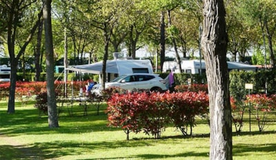 Pitch Lido suite - TV Sat - Caravan - Camping Car - Tent - Dogs not allowed — 2
