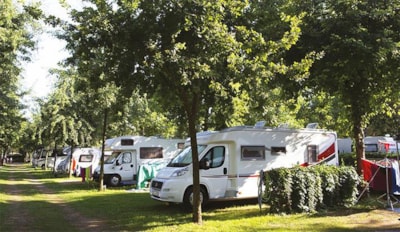 Pitch Venezia - Caravan - Camping Car - Tent - Dogs not allowed — 3
