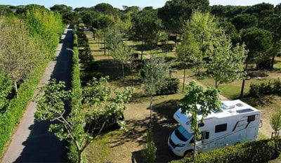 Pitch Venezia - Caravan - Camping Car - Tent - Dogs not allowed — 2