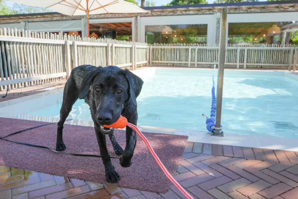 Union Lido Camping Lodging Hotel