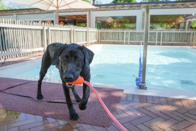 Union Lido Camping Lodging Hotel