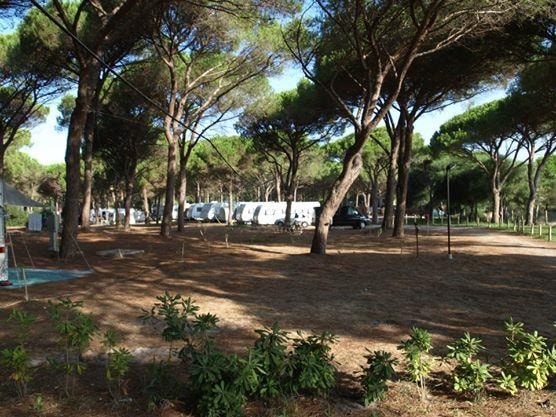 Village Camping S'Ena Arrubia — Photo 4