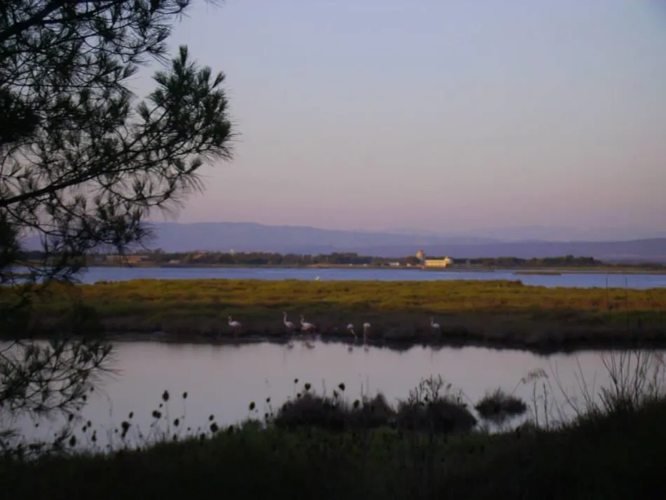 Village Camping S'Ena Arrubia