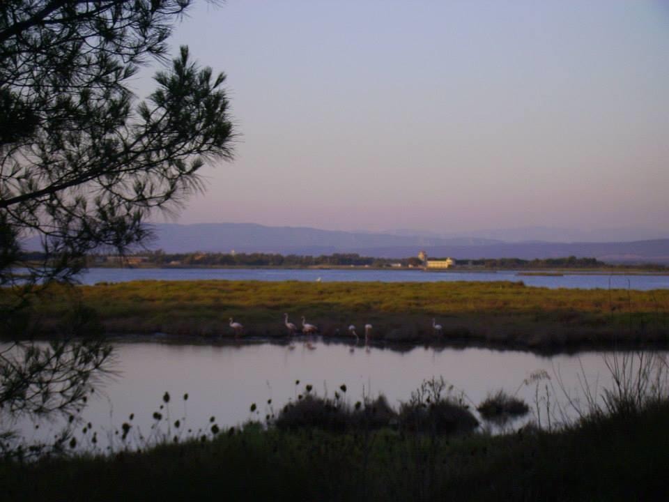 Village Camping S'Ena Arrubia — Photo 5