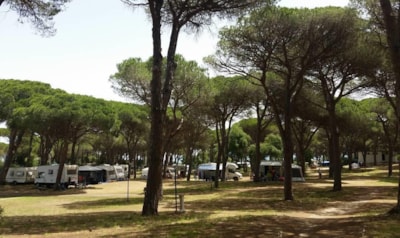 Village Camping S'Ena Arrubia
