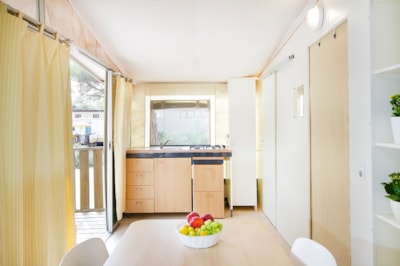 Tent Oasi — 3