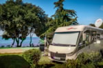 Piazzola Premium Piazzola Premium