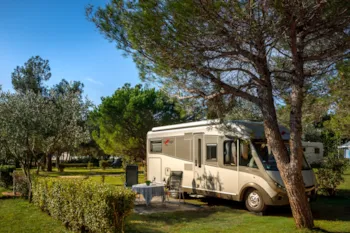 Stellplatz - Premium Stellplatz - Maistra Camping Porto Sole