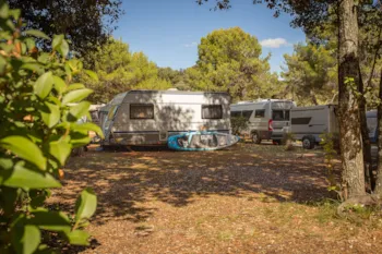 Stellplatz - Standard Stellplatz - Maistra Camping Koversada Naturist
