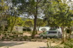 Piazzola Premium Piazzola Premium