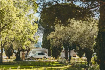 Stellplatz - Stellplatz Premium Meer - Maistra Camping Amarin