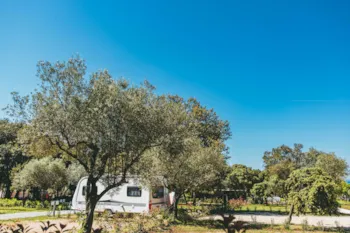 Stellplatz - Stellplatz Premium - Maistra Camping Amarin