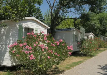 Mietunterkunft - Mobilheim 24M² Standard (2 Schlafzimmer - 4 Personen) + Strohhütte Im Freien - Flower Camping Les Paillotes en Ardèche