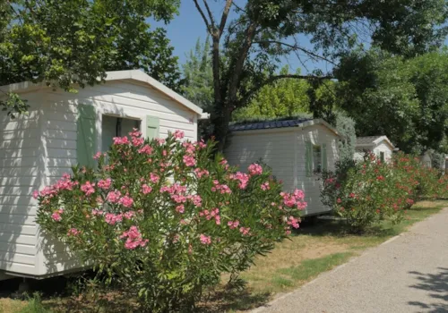 Location - Mobil-Home 24M² Standard (2Ch - 4Pers.) + Paillote Extérieure - image n°3 - Camping Les Paillotes en Ardèche