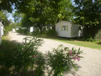 Mietunterkunft - Mobilheim 27,5 M² Standard (2 Schlafzimmer – 4/6 Personen) + Klimaanlage + Außenhütte - Flower Camping Les Paillotes en Ardèche