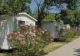 Foto #17 van Flower Camping Les Paillotes en Ardèche