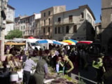 Foto #98 van Flower Camping Les Paillotes en Ardèche