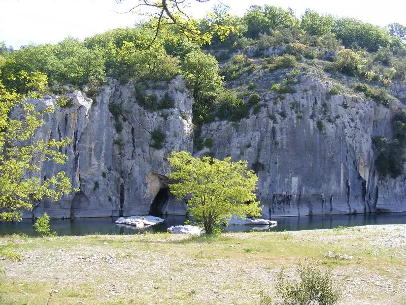 Camping les Actinidias