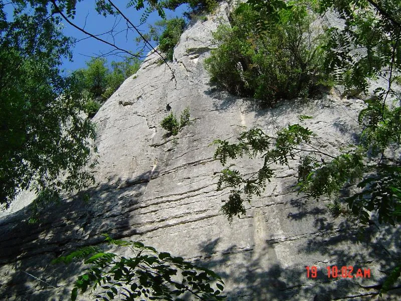 Camping les Actinidias