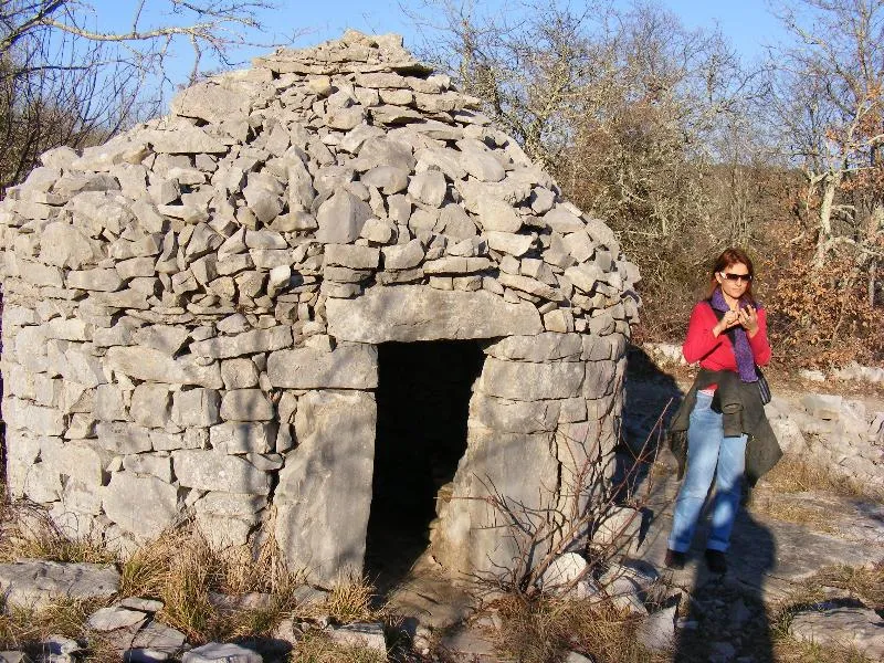 Camping les Actinidias