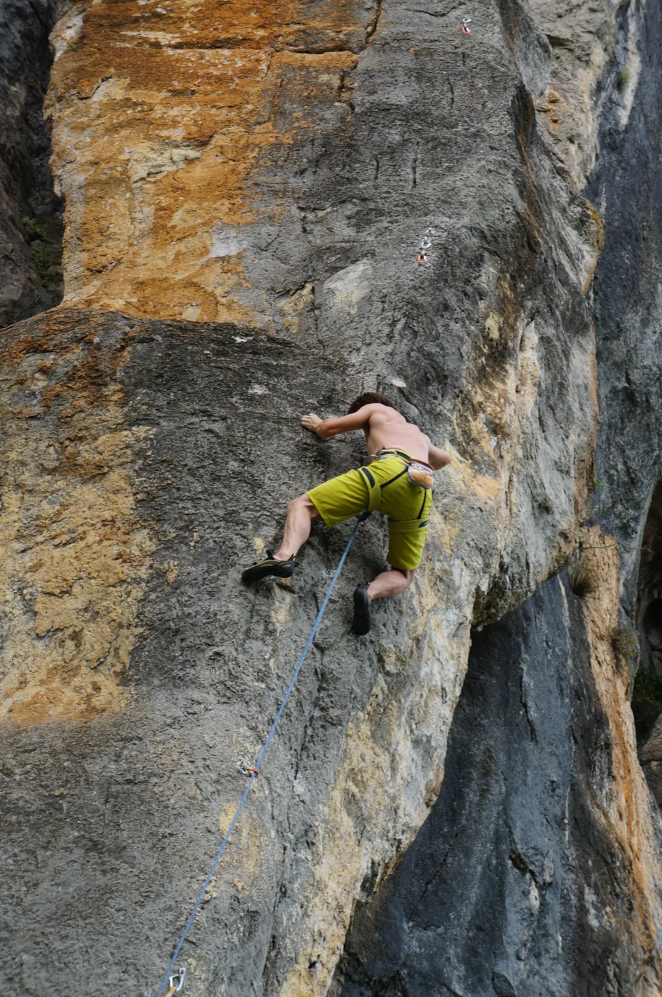 Camping les Actinidias