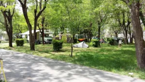 Emplacement - Pakket 2 pers. + 1 voertuig + tent of caravan - Camping les Actinidias