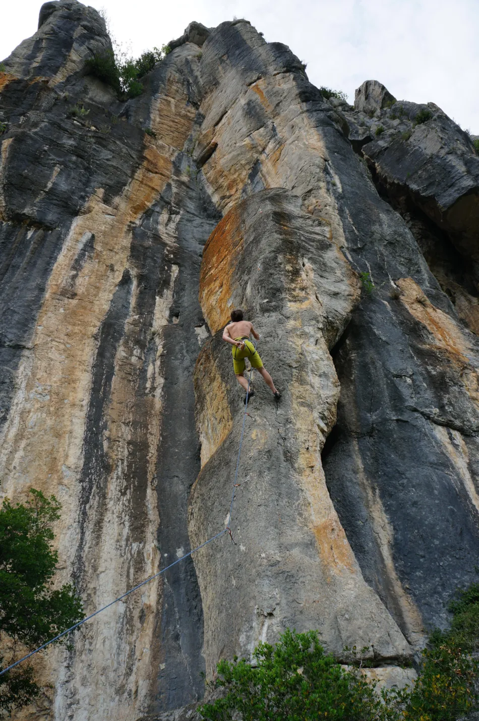 Camping les Actinidias