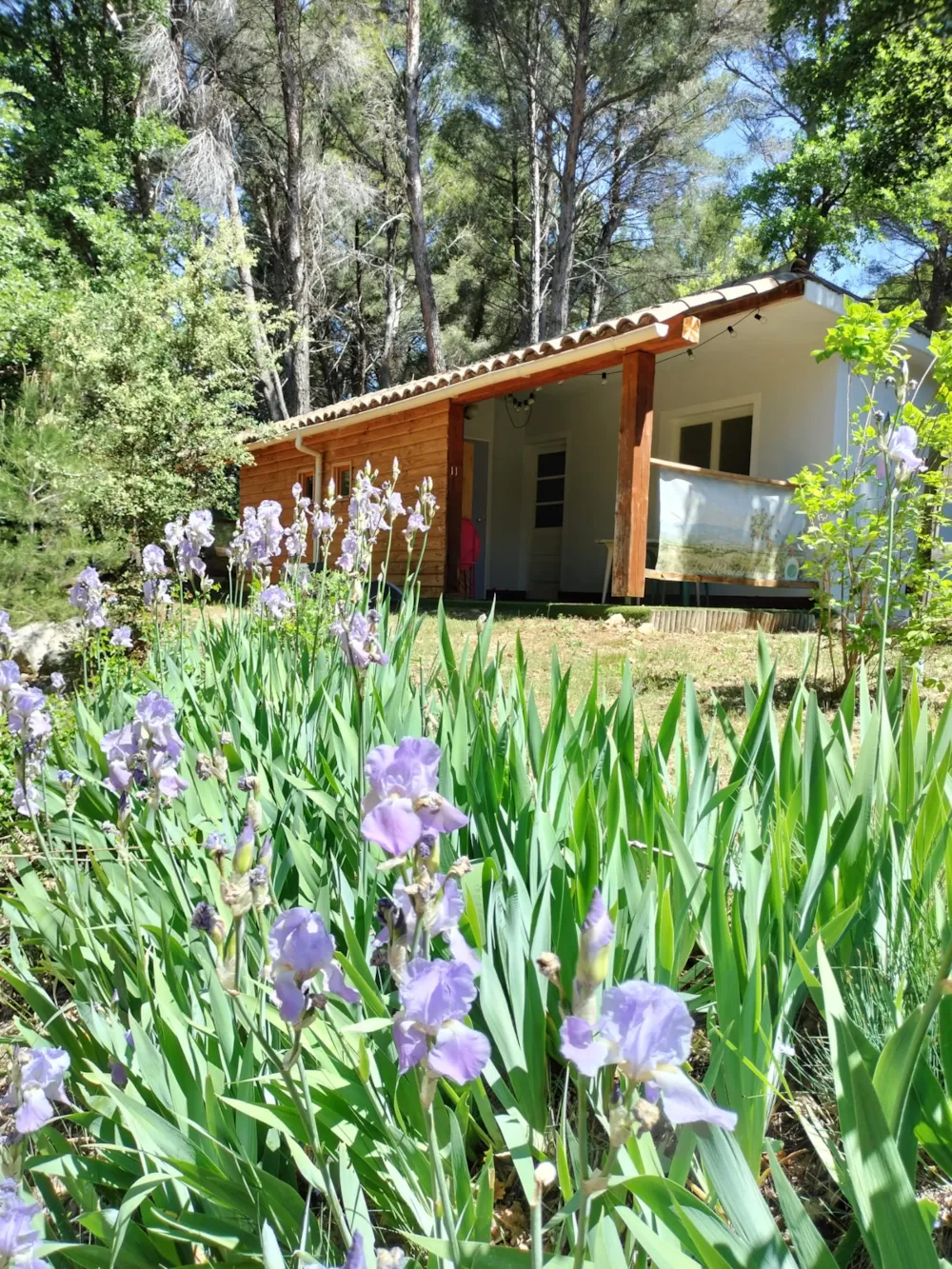 Mietunterkunft - Maisonnette Buis - 18M² - Camping L'Orée de Provence (Sites & Paysages)
