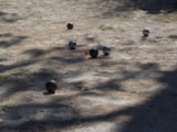 Foto #32 van Camping Universal